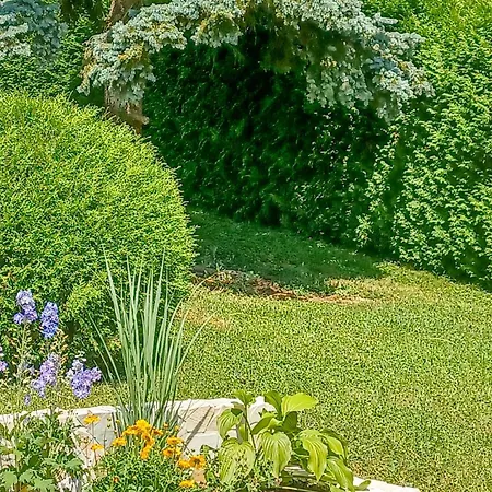 Mit Terrasse Апартаменты Neuhaus (Baden)