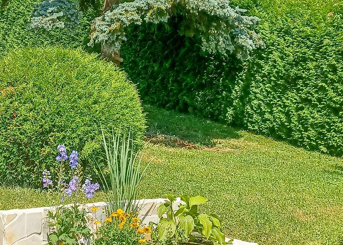 Mit Terrasse Apartment Neuhaus (Baden)